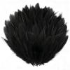 Fesnova 100 Pack Black Feathers, 8-15cm view 1