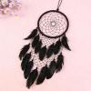 Fesnova 100 Pack Black Feathers, 8-15cm view 2