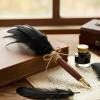 Fesnova 100 Pack Black Feathers, 8-15cm view 4