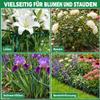 YAWAHOME Metal Plant Supports, 8-Pack, 25 x 40 cm, Half-Round Supports for Peonies, Hydrangeas, Roses, Perennials, and Potted Plants view 4