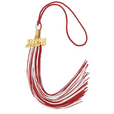 SHYYOULQE Class of 2026 Graduation Accessories