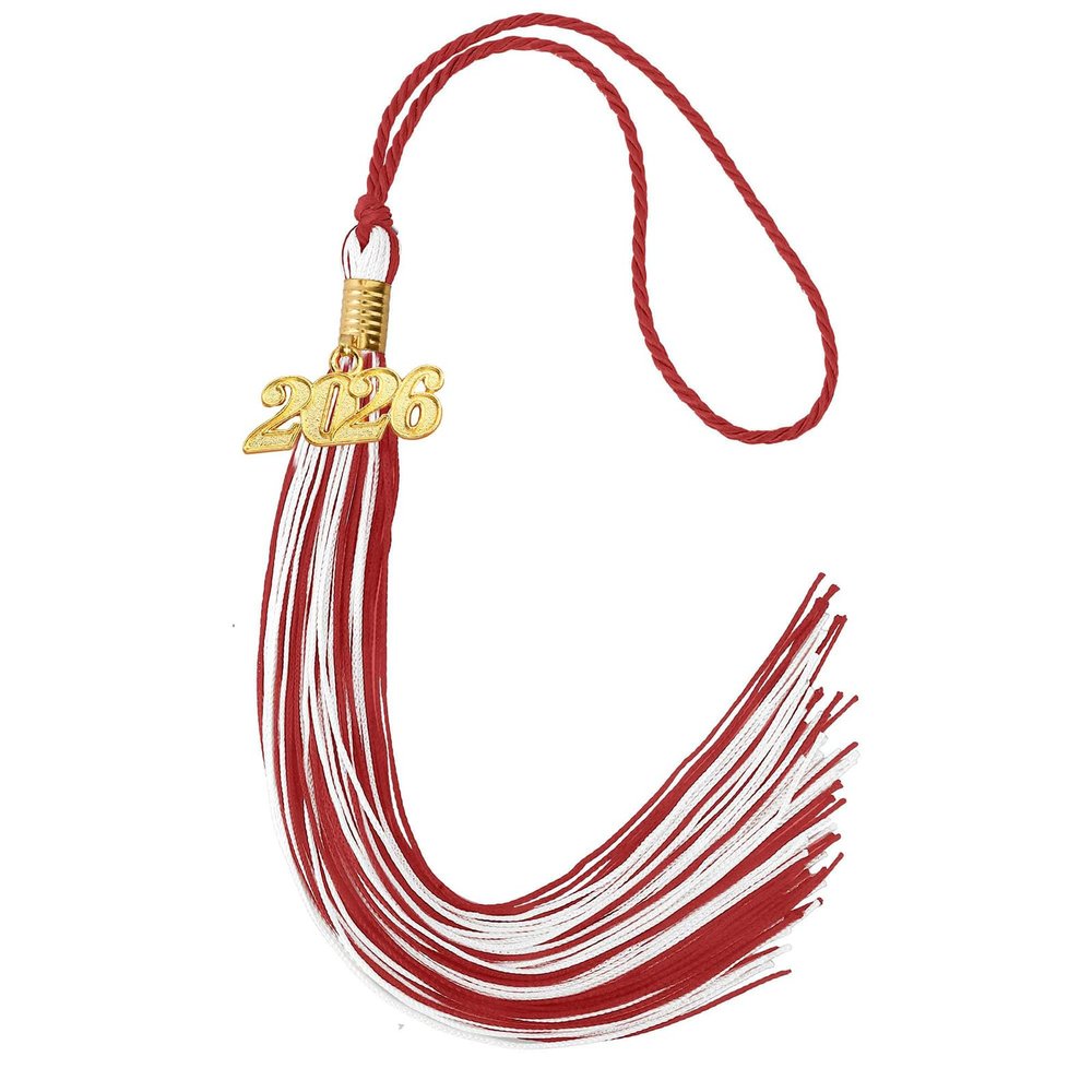 SHYYOULQE Class of 2026 Graduation Accessories