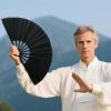Whrcy Hand Fan - Chinese Decorative and Dance Prop view 3