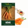 Long Red Blunt Coreless Carrots, 2 Seeds - Daucus carota - Carrot Seeds for 800 Plants view 1