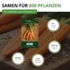 Long Red Blunt Coreless Carrots, 2 Seeds - Daucus carota - Carrot Seeds for 800 Plants view 3