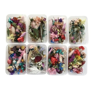 Natural Dried Flower Set