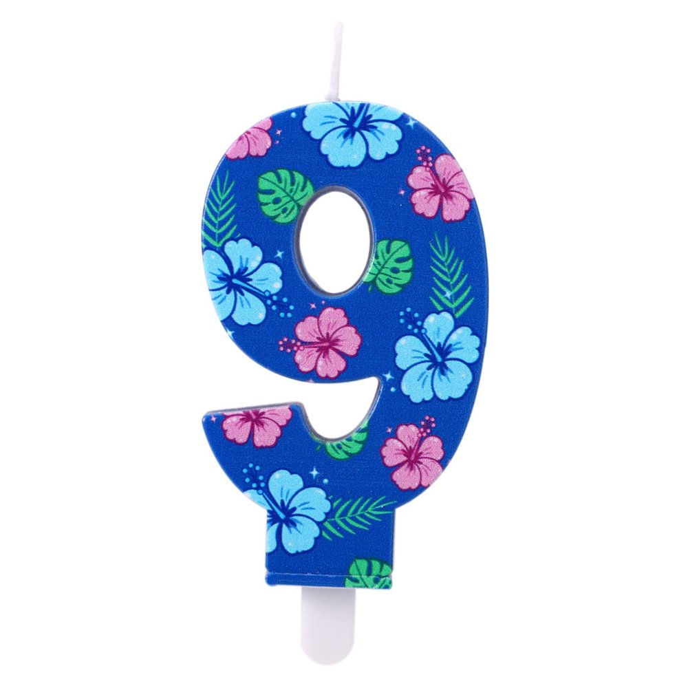 Birthday Candle with Cartoon Number 9