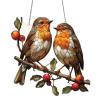 Solar Sensor Window Birds view 1