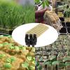 Stone Wool Grow Cubes for Soilless Cultivation view 4
