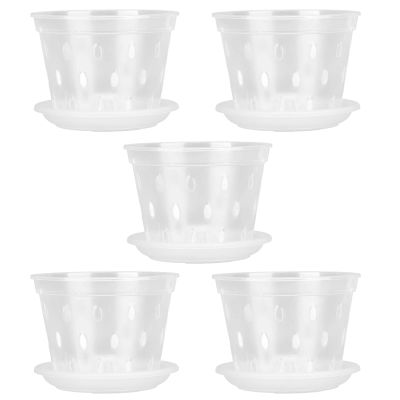 Clear Orchid Flower Pot with Saucer, 14 cm, for Indoor Use