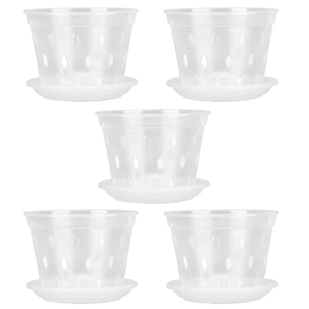 Clear Orchid Flower Pot with Saucer, 14 cm, for Indoor Use