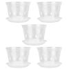 Clear Orchid Flower Pot with Saucer, 14 cm, for Indoor Use view 1
