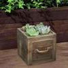 Tubayia Rectangular Wooden Planter Box, 14 x 14 x 13.5 cm view 3