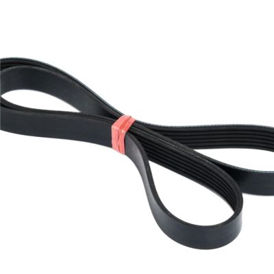 1 pc PL800 PL Poly-V Ribbed Belt, 6-Rib and 8-Rib Drive Belt HWWEI (12PL800)