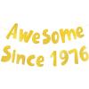APXEL 50th Birthday Glitter Banner Gold view 1