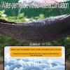 Shade Net 1 x 5 m, 90% UV-Resistant Sun Shade for Greenhouses and Patios view 4