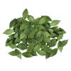 dinghaole 100 Pcs Green Artificial Leaves for Decoration view 1