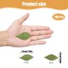 dinghaole 100 Pcs Green Artificial Leaves for Decoration view 2