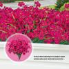 Oxxggkao 24-Pack Artificial Plastic Violets, 13-Inch Realistic Flowers view 3