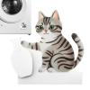 Magnetic Cat Whisker Holder - Acrylic Refrigerator Magnet & Memory Vase view 1