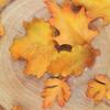 Phefop 4-Piece Christmas Leaf Cookie Cutter Set view 3