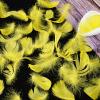 Yellow Feather Set view 3
