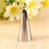 5-Piece Stainless Steel Icing Piping Tips view 3