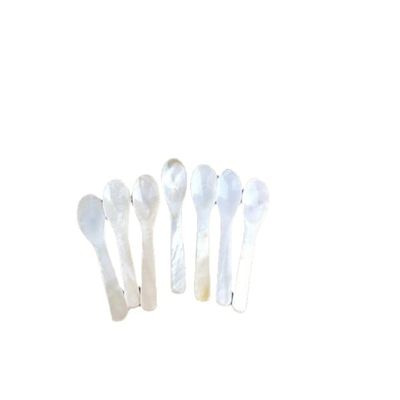7cm Natural Shell Spoon - Random Color