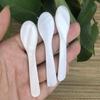 7cm Natural Shell Spoon - Random Color view 4