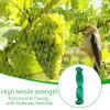 Bird Protection Net 4 x 12 m, Fine Mesh 1.5 x 2 cm, Green view 4