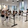 Double-Layer Removable Ballet Barre, Portable Adjustable Yoga and Dance Stretch Barre for Adults and Children view 2