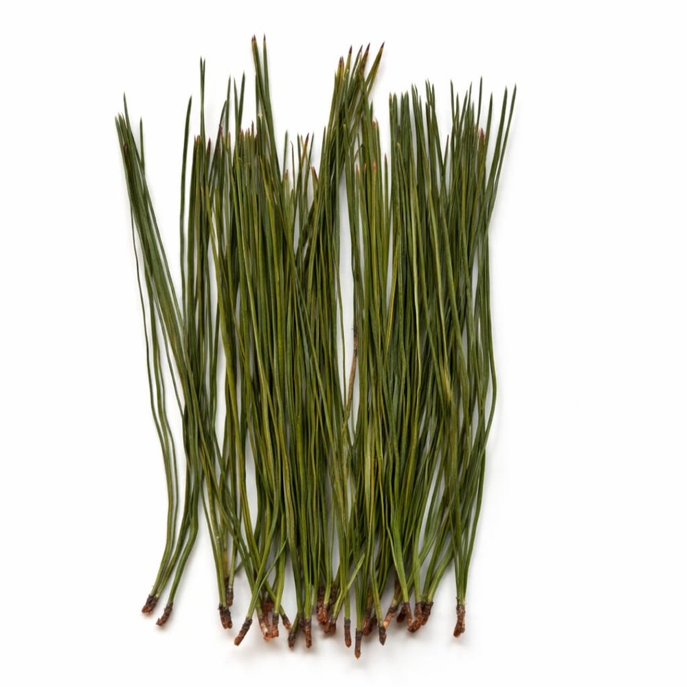 Yellow Pine Needles Pinus ponderosa 30g approx. 135 pcs