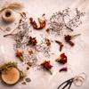 Dried Marigold Flowers - 20 Pieces view 4