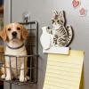 Whisker Keeper Cat Whisker Collector view 3