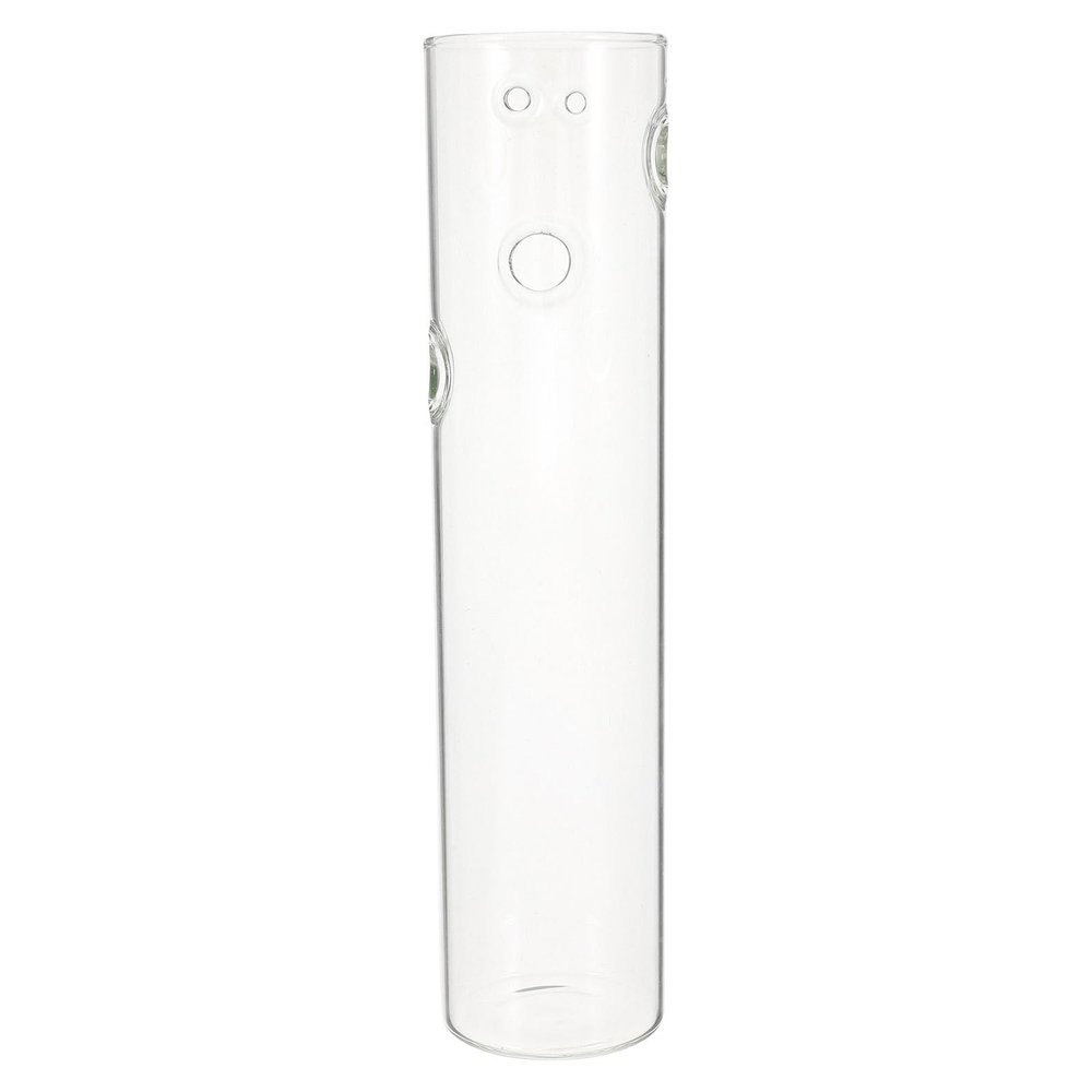 Ciieeo Hanging Hydroponic Glass Vase, Transparent Wall Planter