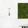 Ciieeo Hanging Hydroponic Glass Vase, Transparent Wall Planter view 4