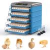 vanenferse Fully Automatic Egg Incubator for 192–500 Eggs view 1