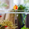 Floating Chick-Shaped Bath Thermometer view 2