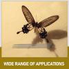Entomology Pins, 100-Piece Stainless Steel, for Butterflies view 3