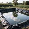 Generic HDPE Pond Liner 4 x 9.5 m / 13.12 x 31.17 ft view 3