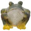 MAGICLULU Frog-Shaped Natural Resin Key Hiding Box view 1
