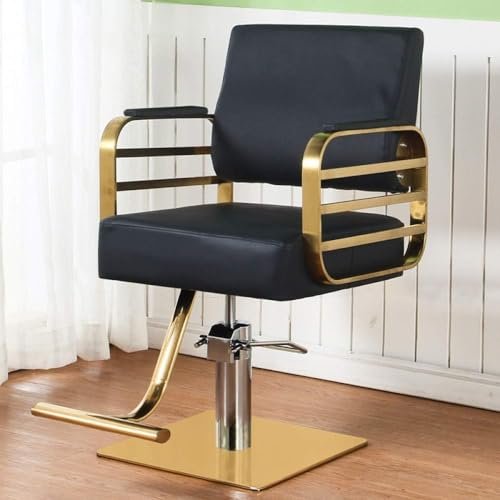 Hydraulic Swivel Salon Styling Chair
