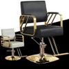 Hydraulic Swivel Salon Styling Chair view 3