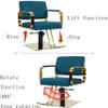 Hydraulic Swivel Salon Styling Chair view 4