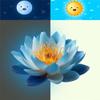 Blue Lotus Toilet Sticker view 4