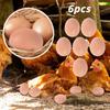 12 Realistic Artificial Eggs view 2