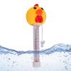 Floating Pool Thermometer with Duckling Design view 1