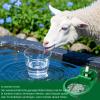 Automatic Horse Water Trough view 3