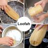 Natural Luffa Scrub Sponge view 4