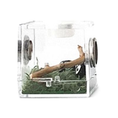 1Pc Breeding Box - Transparent Acrylic Habitat